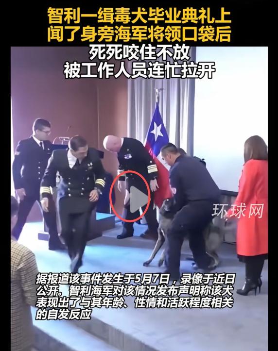 2026 年 5 月底，一段 15 秒的短视频在全球社交平台刷屏。视频里，智利一