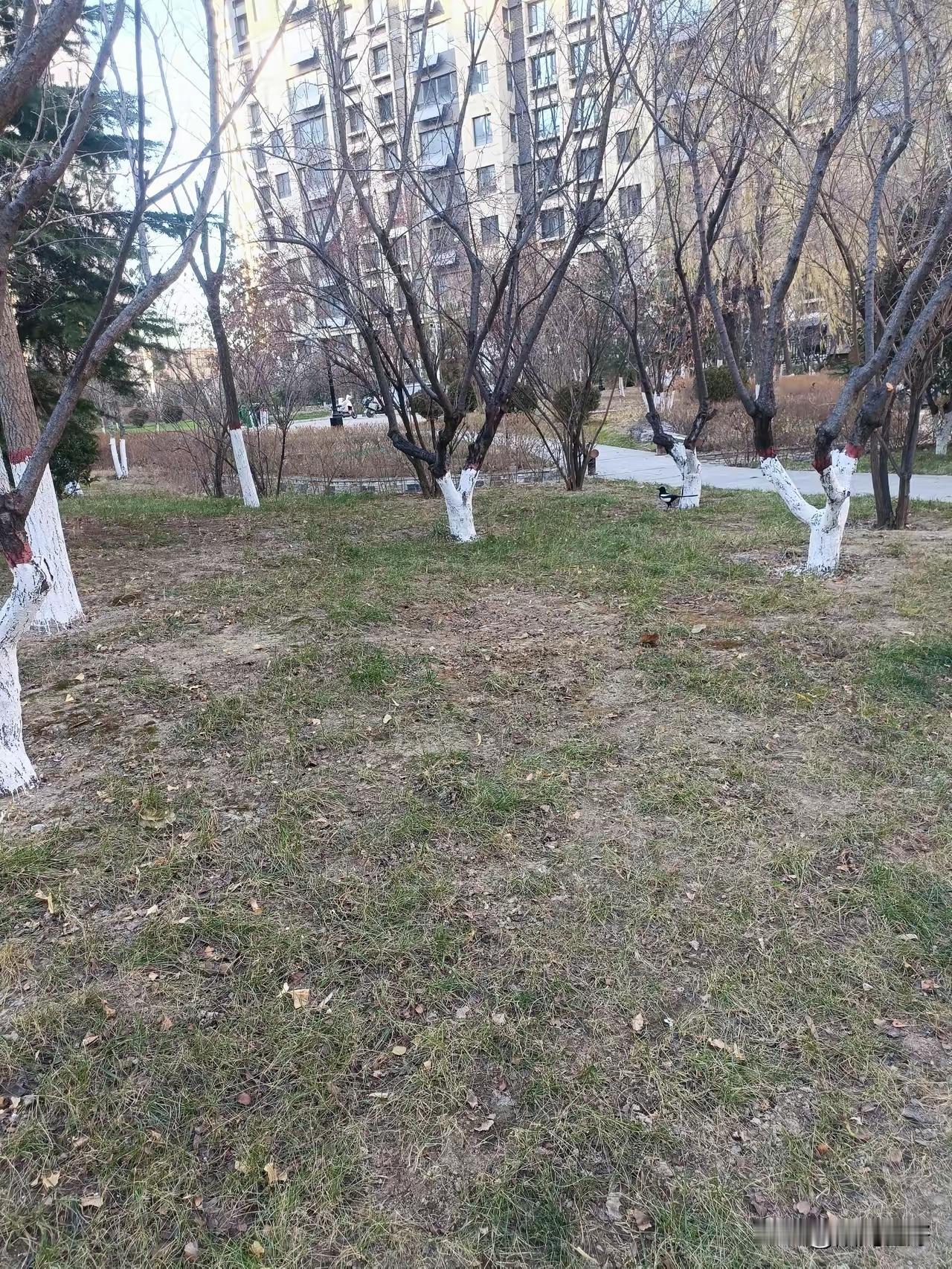 一个同事因为口腔溃疡，结果在家歇了半个月还没上班！刚开始嘴里就长了个小泡，第二天