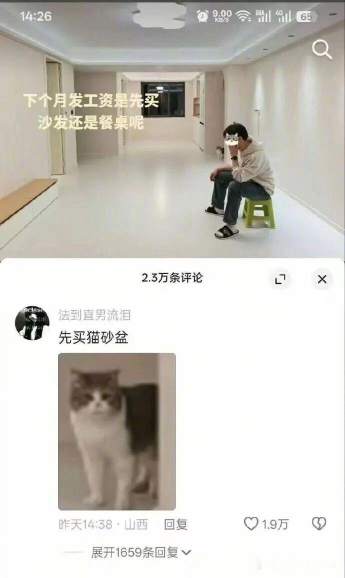 告诉猫猫解手去外头，别lovely 