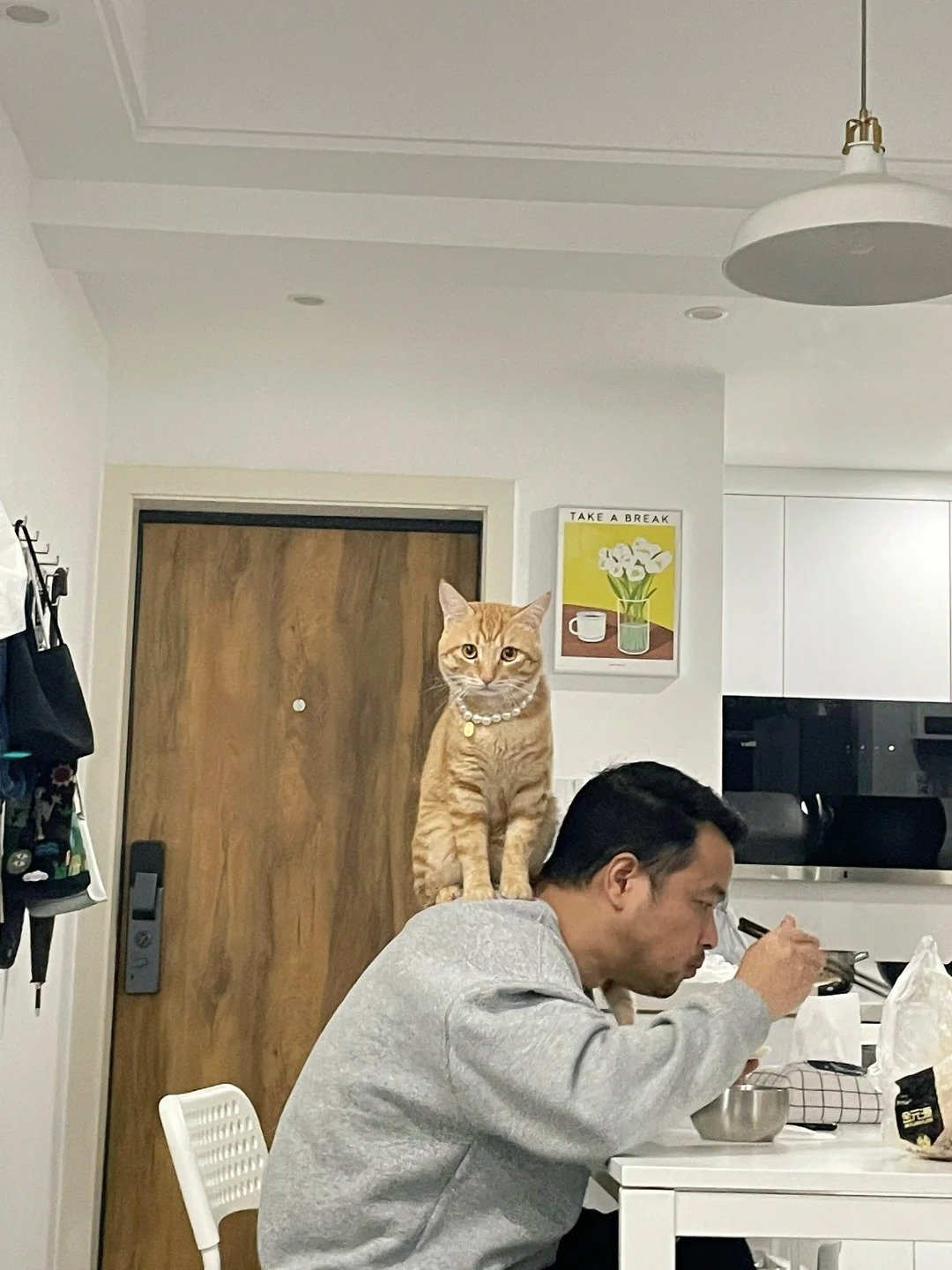 #这就是慈父多败咪# 慈父多败喵👇 ​​​