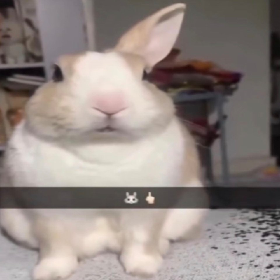 某些人咋这么关心我心肝，你的猪肝能和我的心肝比吗？你血型测出来是猪油啊？ 