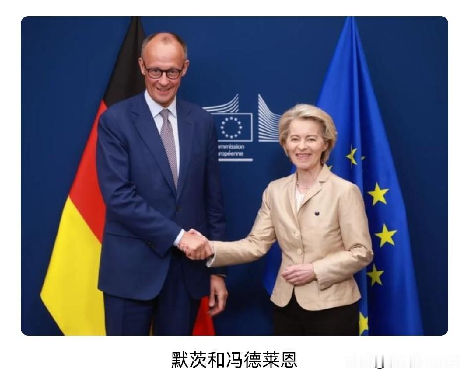 德国总理莫茨称将全力支持欧盟对华贸易重拳出击。德国总理的眼界真是一个不如一个…[