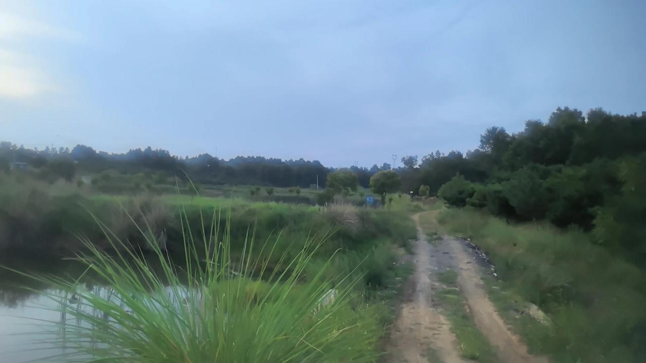 夏日生活打卡季