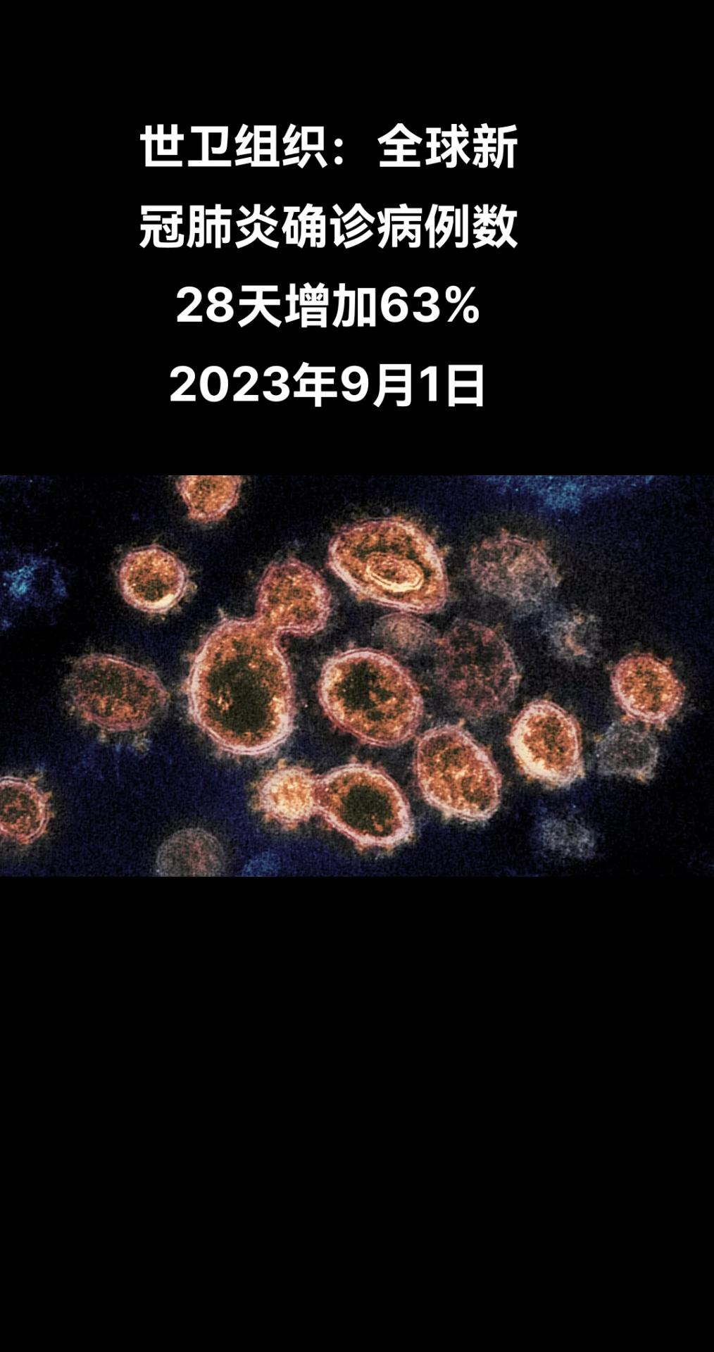 俄罗斯卫星通讯社日内瓦电 据世卫组织每周公布的流行病学通报，2023年7月24日