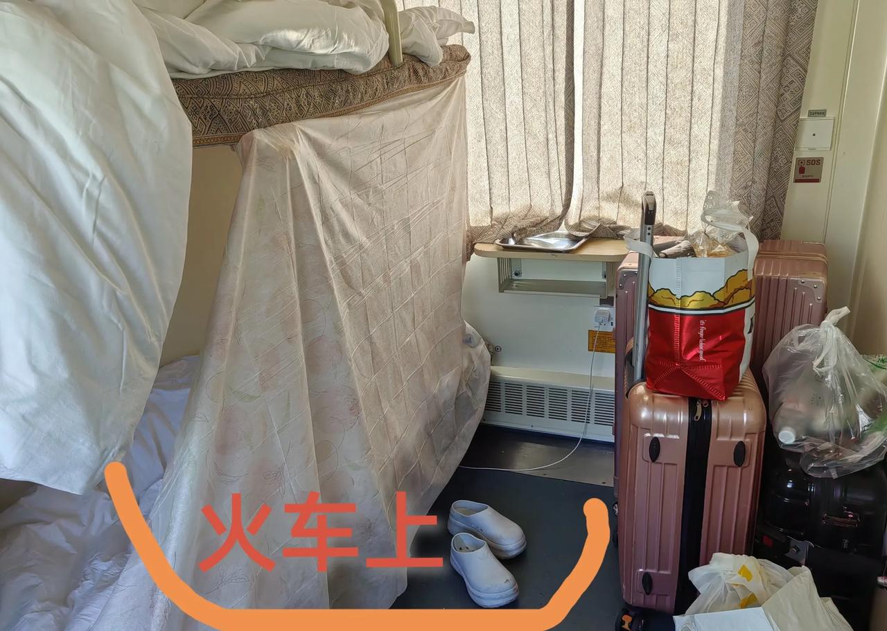 她们宣称不会结婚，
极度不喜欢小孩子。
高校985的女大学生，身边有几位。外出旅