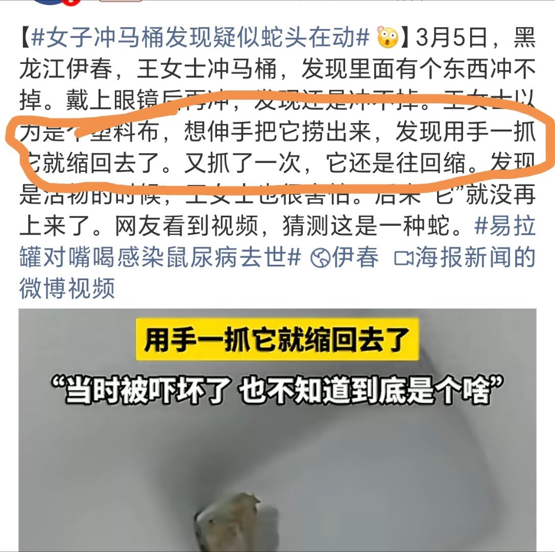 女子冲马桶发现疑似蛇头在动emmm，不是，还用手抓？先不说是不是蛇，马桶里掉东西