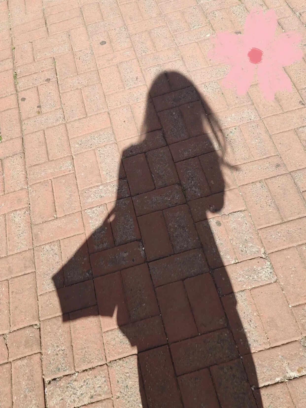 西安丁克老阿姨，35岁，确定铁丁，家里已接受，只找不打算生孩子的来
[首先，把丑