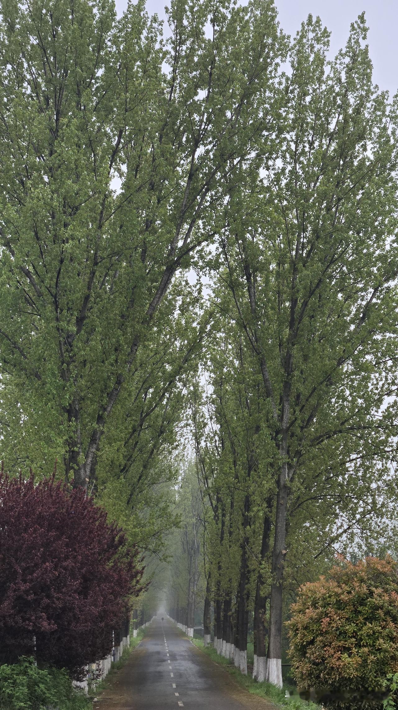 匈牙利欧尔班落选这事，可以帮助大家很快地辨别出一类非正常群体。

凡是在这件事上