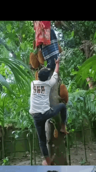 找一个靠谱的队友，才是成功的关键！[捂脸][捂脸][捂脸][捂脸][捂脸][捂脸