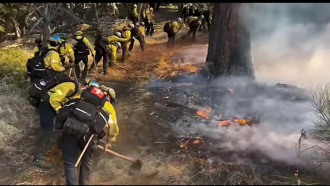 终于知道为什么山火灭不掉了，洋工还得洋人来磨才专业
在上风口挖防火带，这满满的装