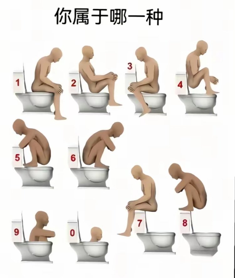 上厕所的姿势千奇百怪 你是哪种拉💩态度
