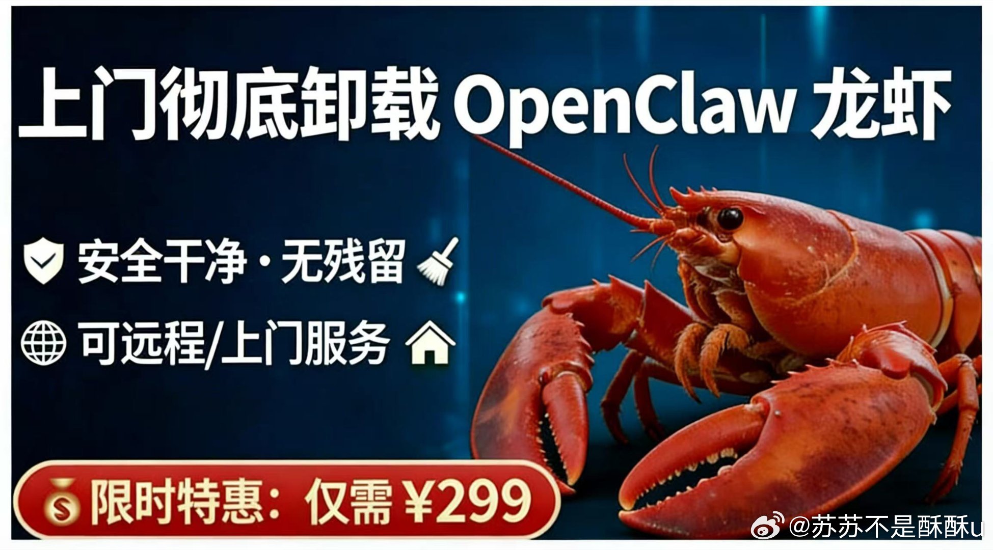 闲鱼这波“龙虾”操作太秀了第一批养龙虾的已经转型卸龙虾了 。刚买完0.9元安装课