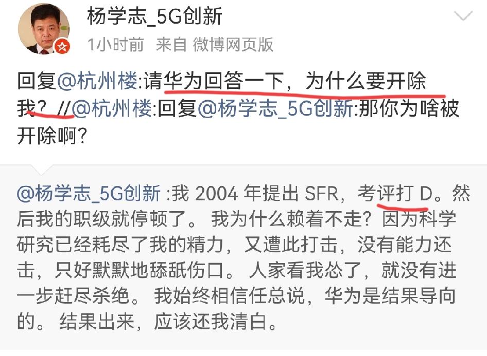 杨学志完全就是自说自话，在他的逻辑里他被华为迫害了，他的离职是被逼无奈，他的考评