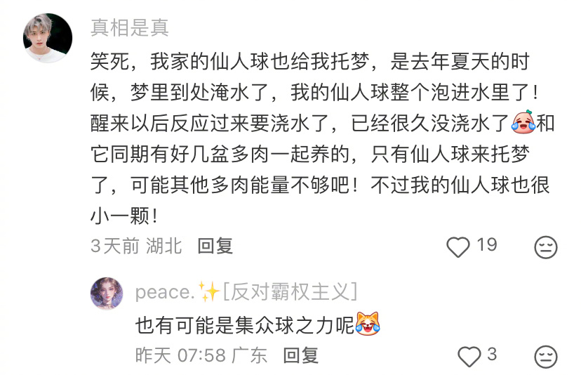 第一次真正意识到植物也是生命 