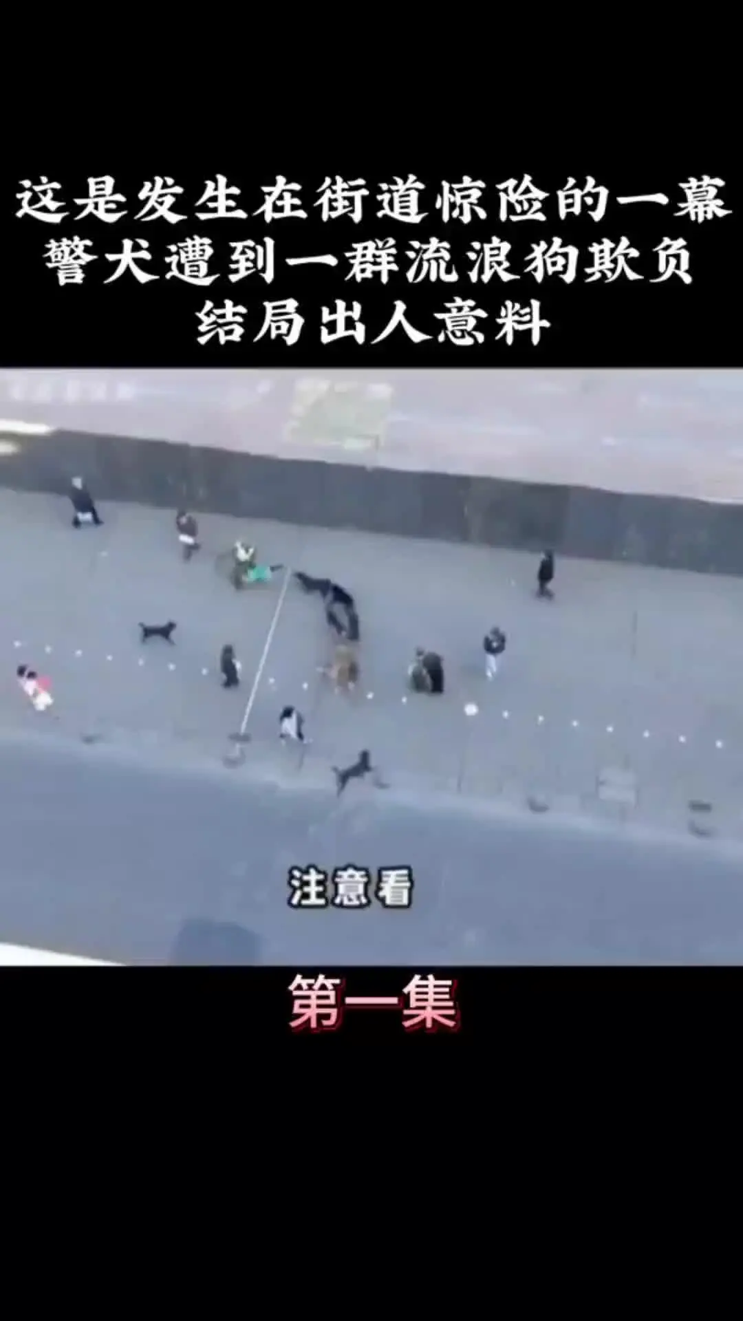 我的观影报告
