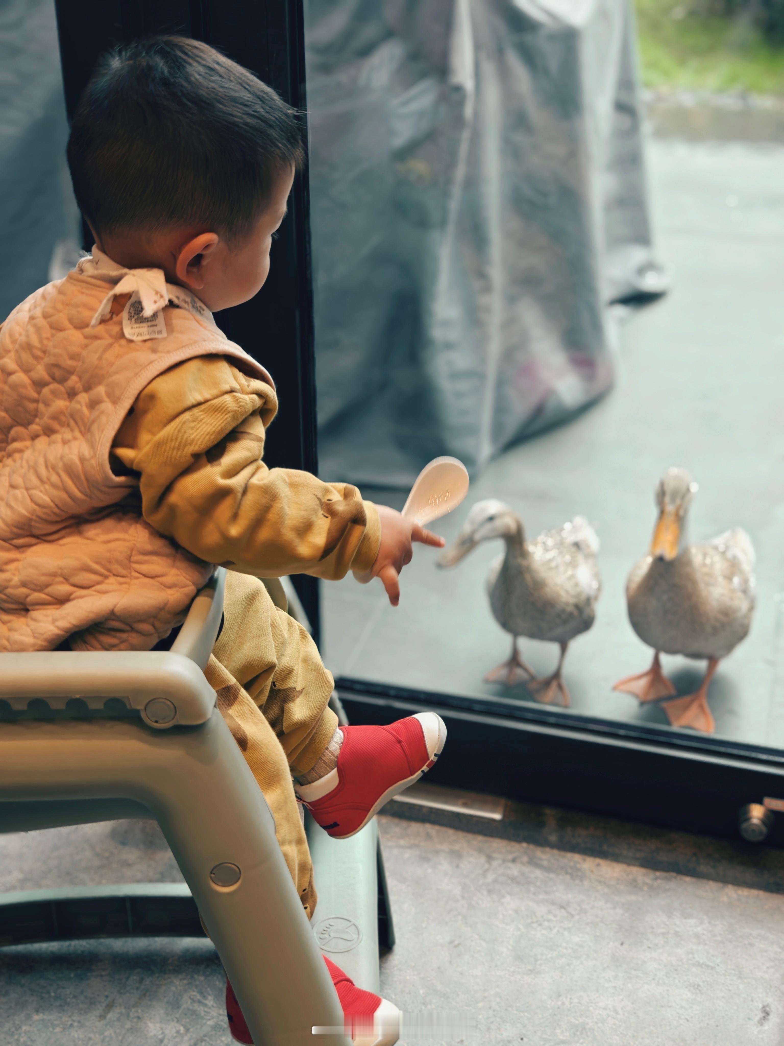 出差刚好在宁波，假期带他玩玩 宁波·宁波东钱湖康得思酒店