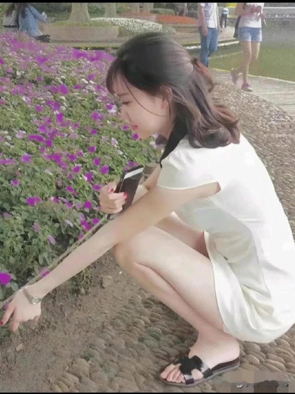 这是什么花