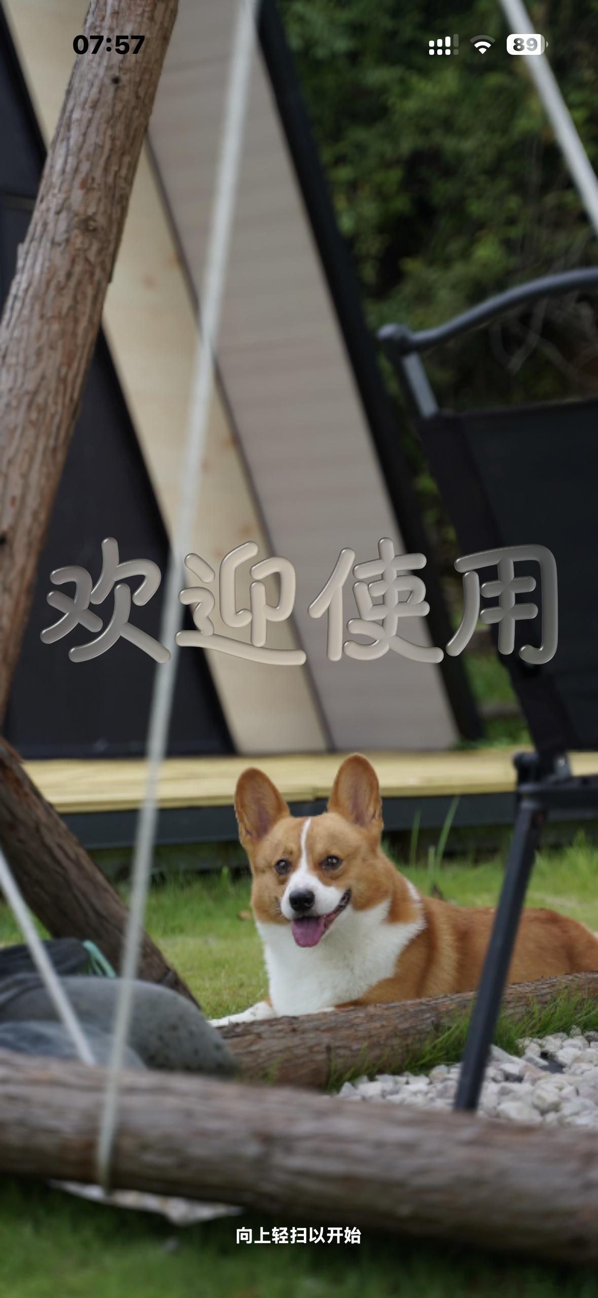 苹果迄今规模最大设计更新iOS26相机早～液态玻璃用上了。新鲜感、高级感是有的，