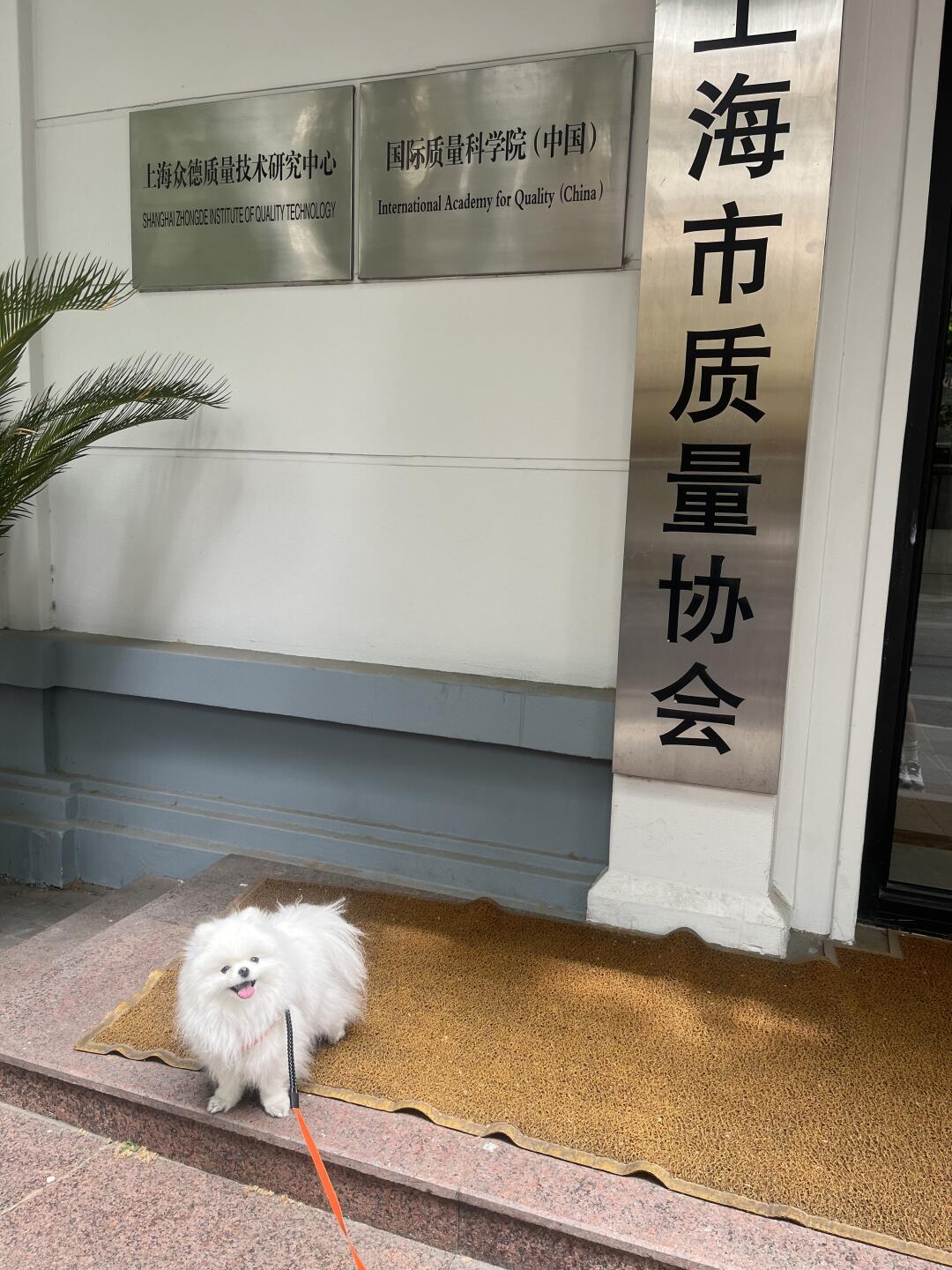 好狗认证