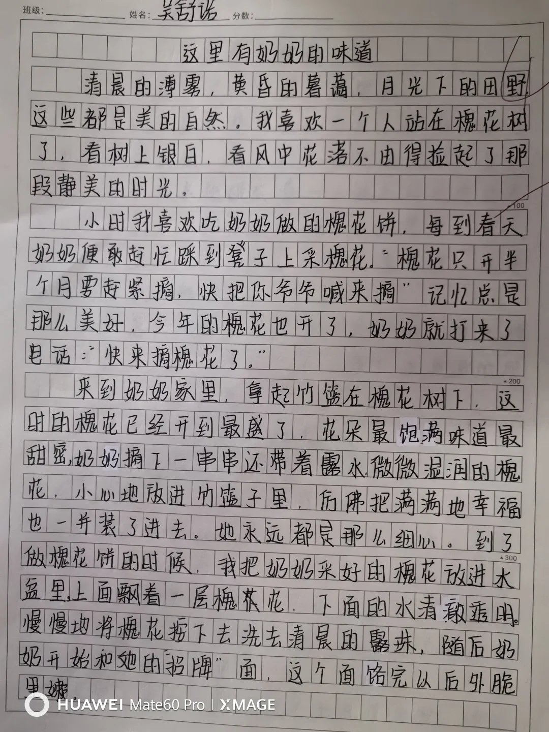 双胞胎妹妹的作文越来越进步！