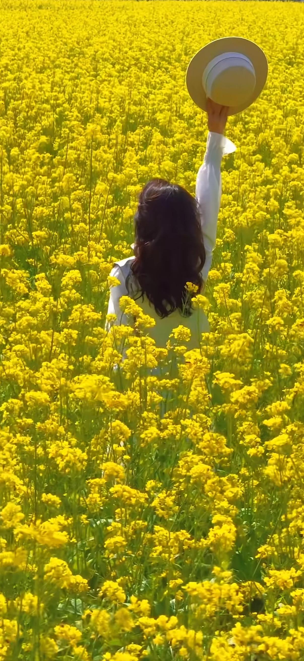 试对：


鸟鸣扬柳岸
蝶戏芳草苑


******

网图侵删