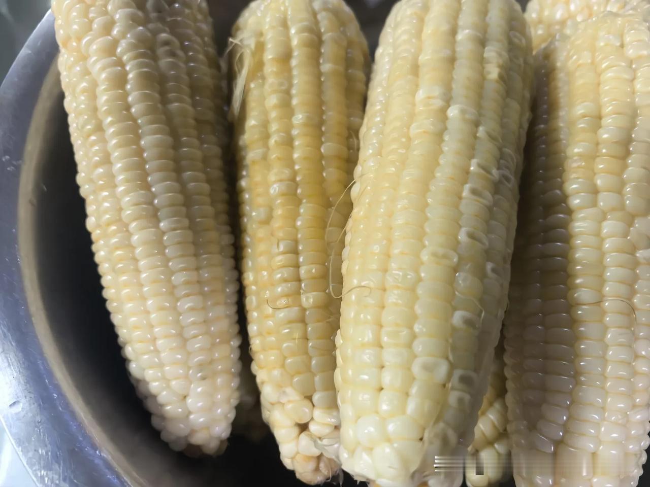 分享一张最近随手拍的照片金河农庄自家产，农家肥黏玉米，太好吃了[赞][赞][赞]