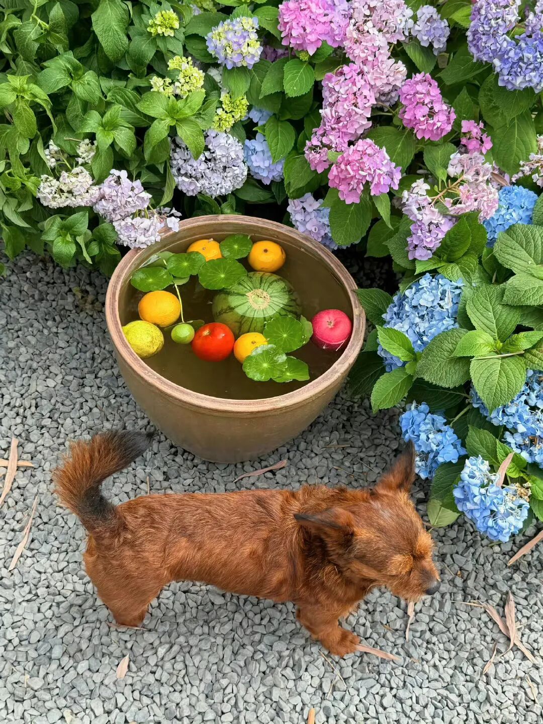 𓈒  ͜ ˙近期分享｜重复率极低的小众文案        1、我“薯”了🥔2
