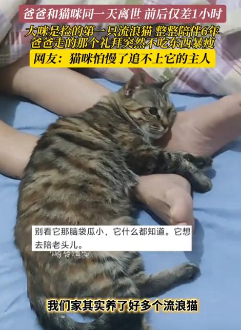 解释不清了！山东烟台，一女子发视频称，她的爸爸在离世那天，她爸爸养了6年从未生过