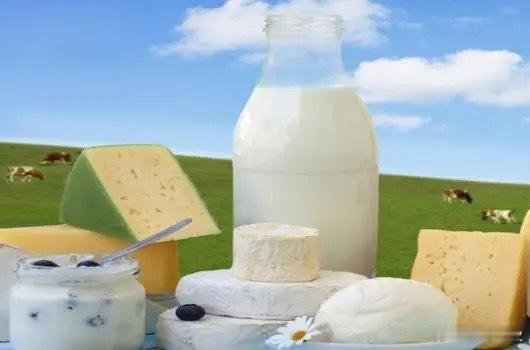 【净利差7倍！新乳业凭什么撕开乳业铁三角？】曾经与伊利、蒙牛齐名的光明乳业，正遭