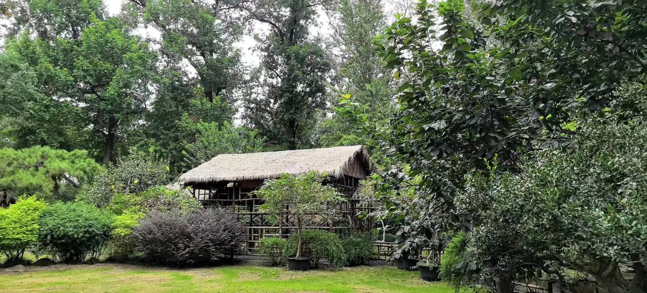 雨润花绽蕊，邀您对下联
风抚草摇春