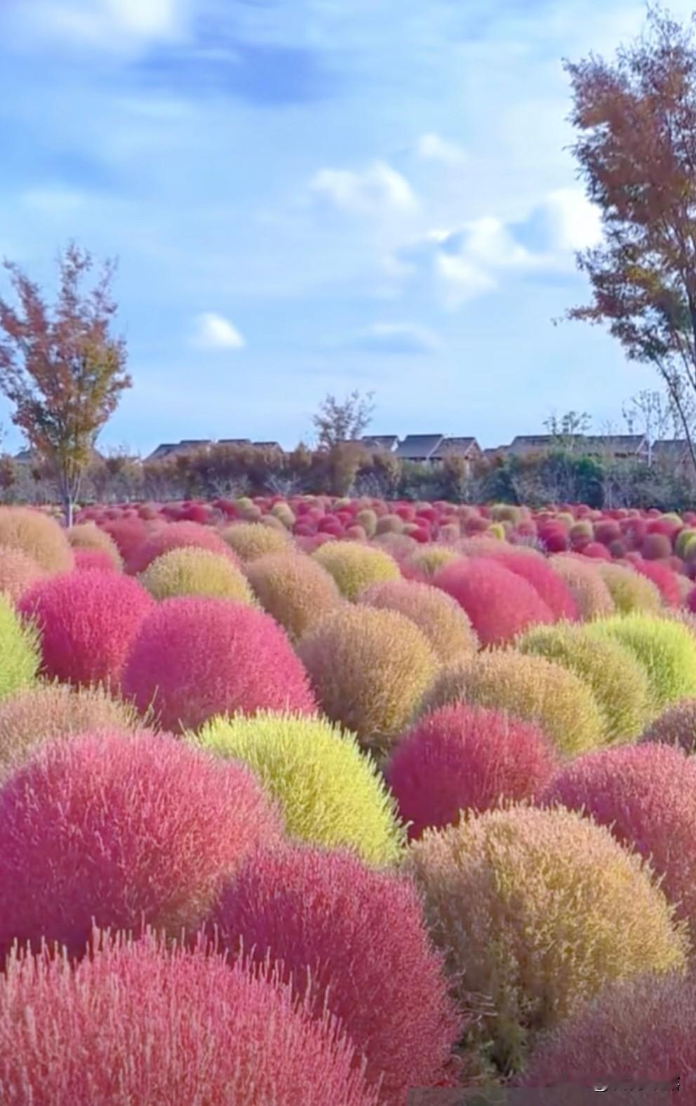 上联：心善福常驻；
下联：品良福永延。