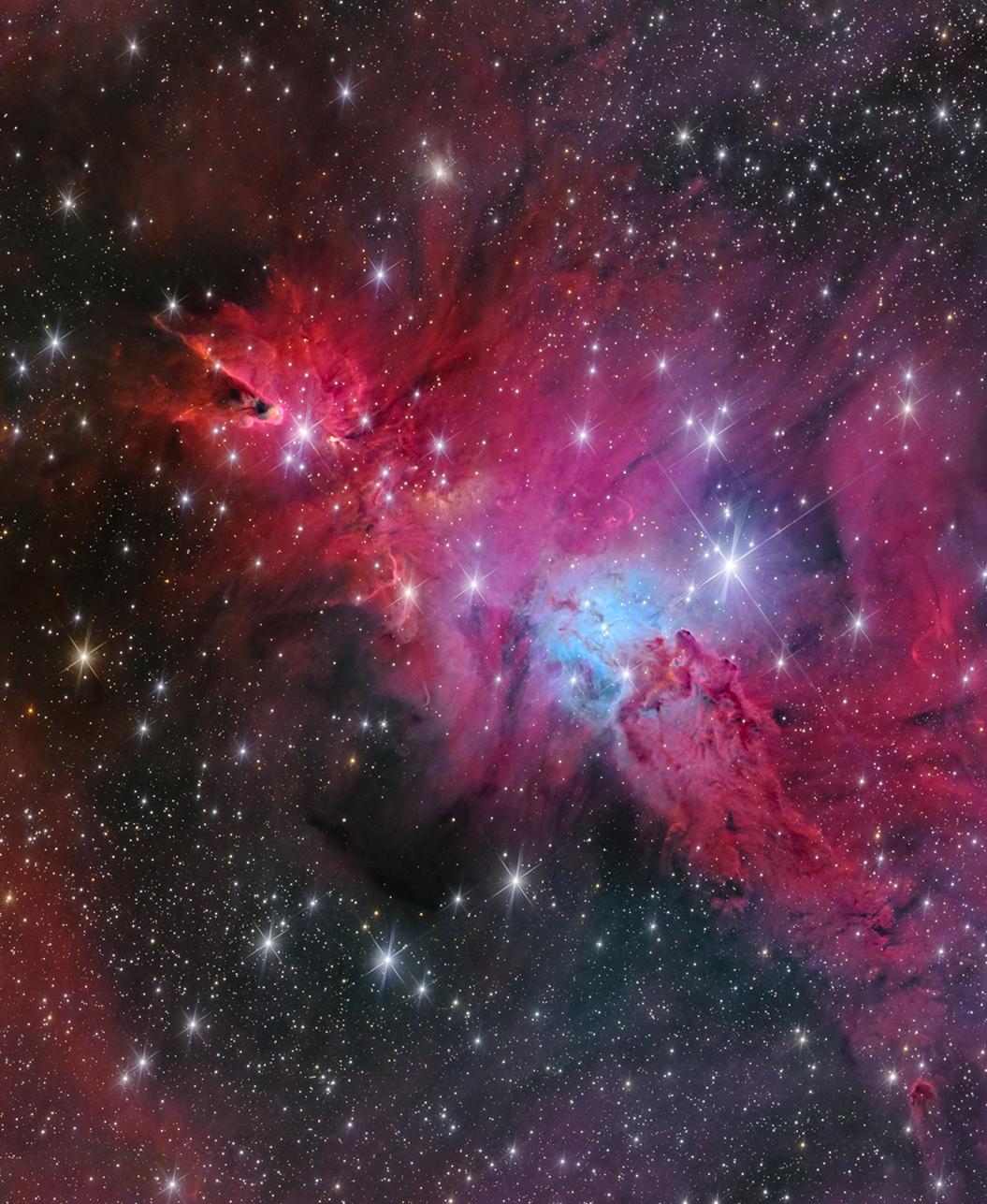 🎄种宇宙最大的圣诞树需要多少年。栽一棵在发光、在生长的宇宙圣诞树吧 ...