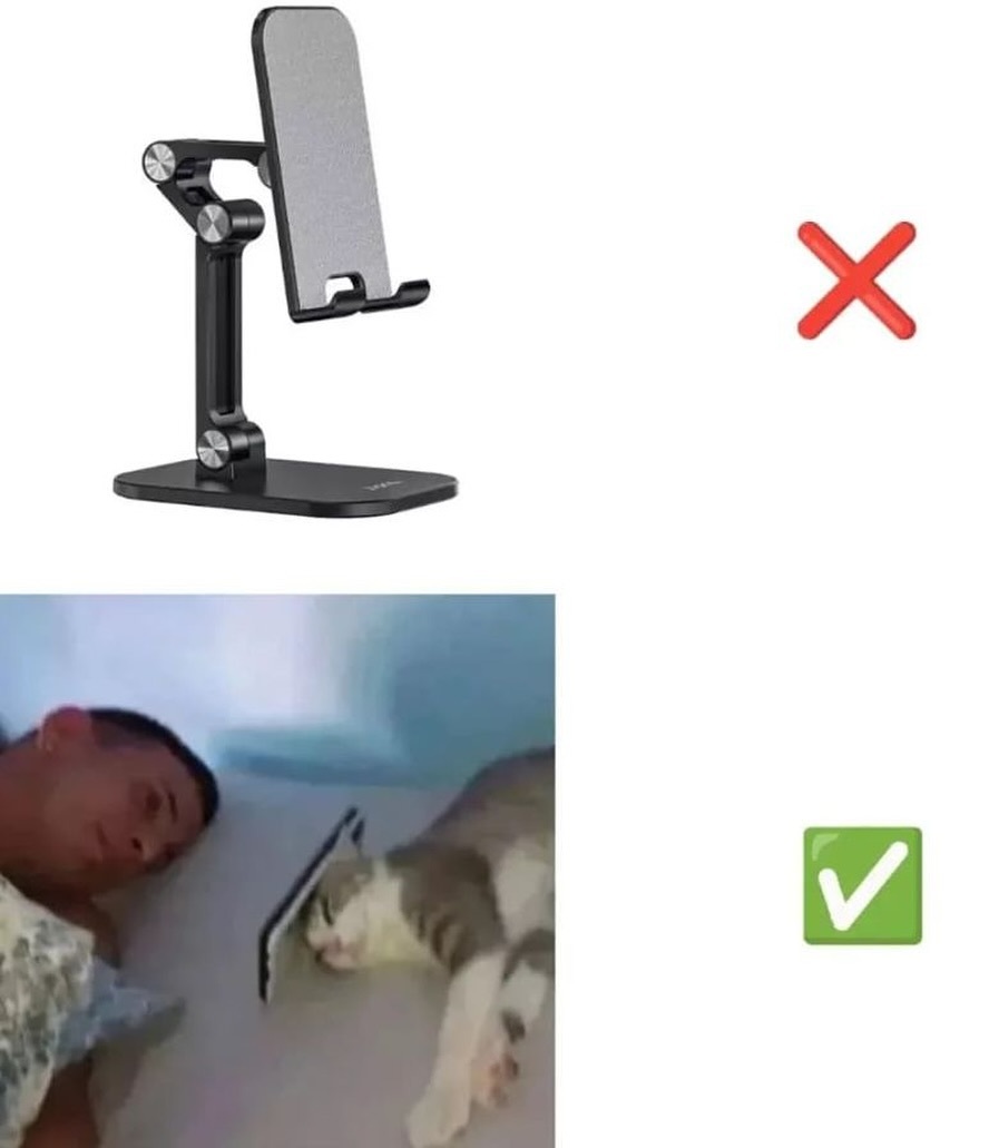 有猫的人有福了meme ​​​