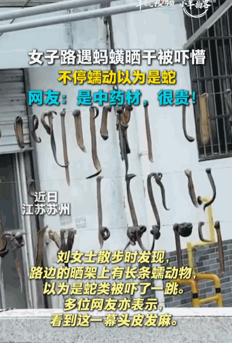 没文化真可怕！近日江苏苏州，一位女士在路边散步时，被眼前的一幕吓得魂飞魄散，只见