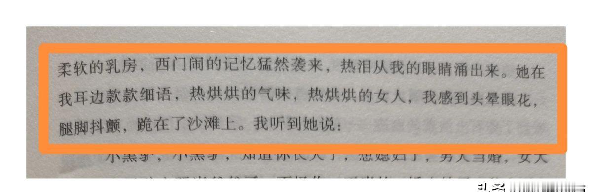 她抚摸着我，用她的胸膛挡住我的眼睛，那一刻，我仿佛穿越了时空。西门闹的故事如同一