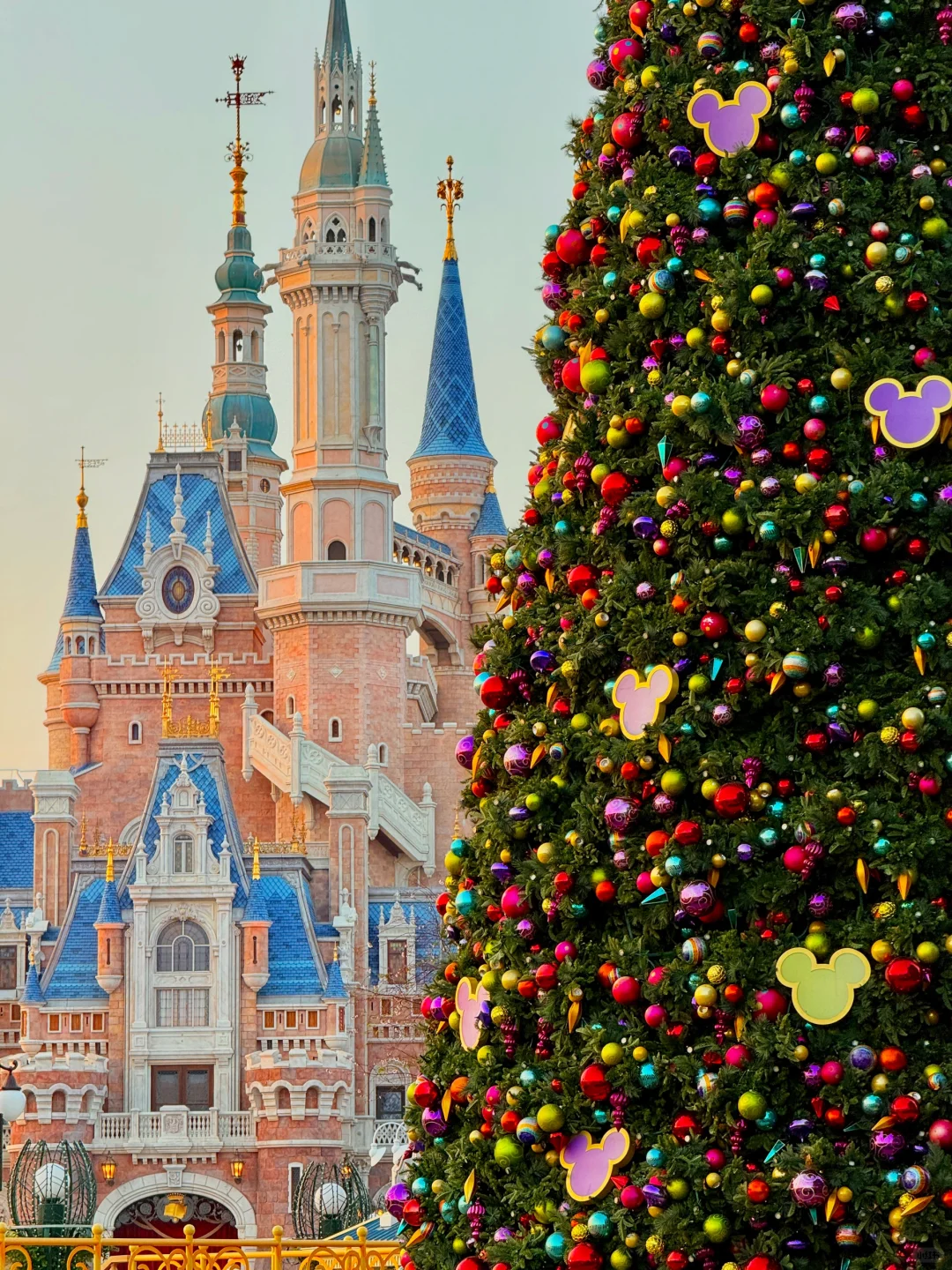 迪士尼圣诞季🎄