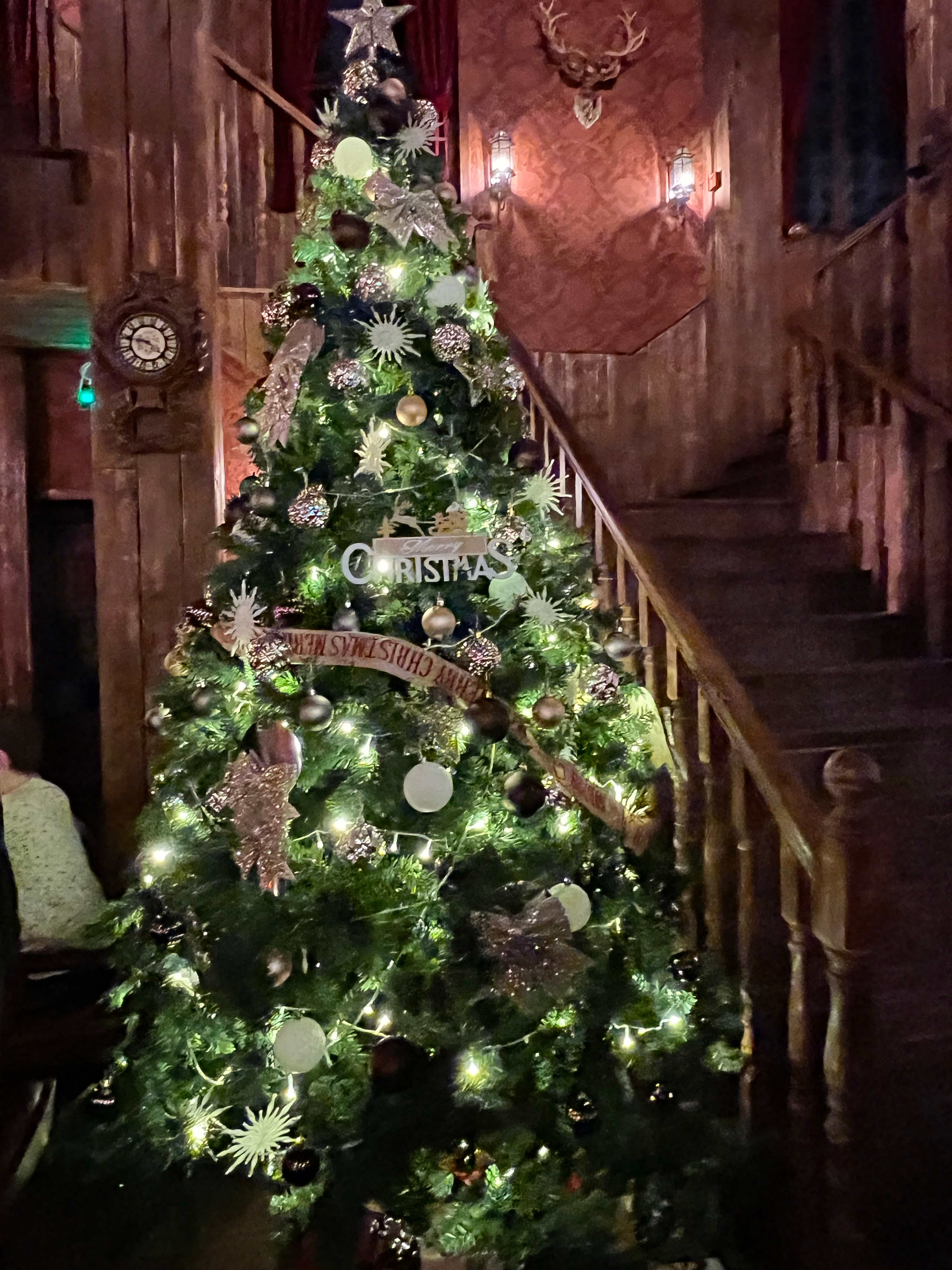 vintage 网红的平安之夜🎄.又是和佳佳仰慕娜姐的一天[害羞]～羞羞[害羞