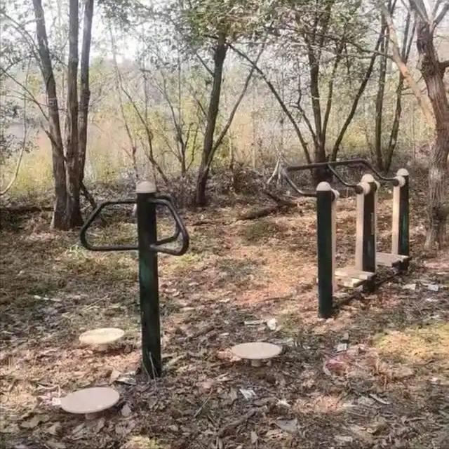 河南一村子，在荒郊野地安装健身器材，这事儿在农村并不少见。

很多人过年回村的时