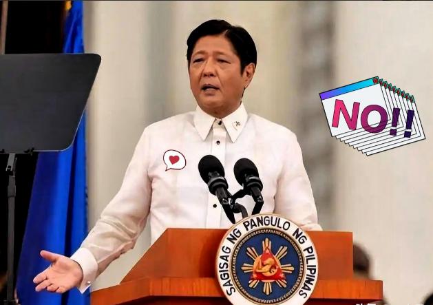 菲律宾正式宣布
11月9日发了通报，台风“海鸥”造成的灾情真挺严重——已经有22