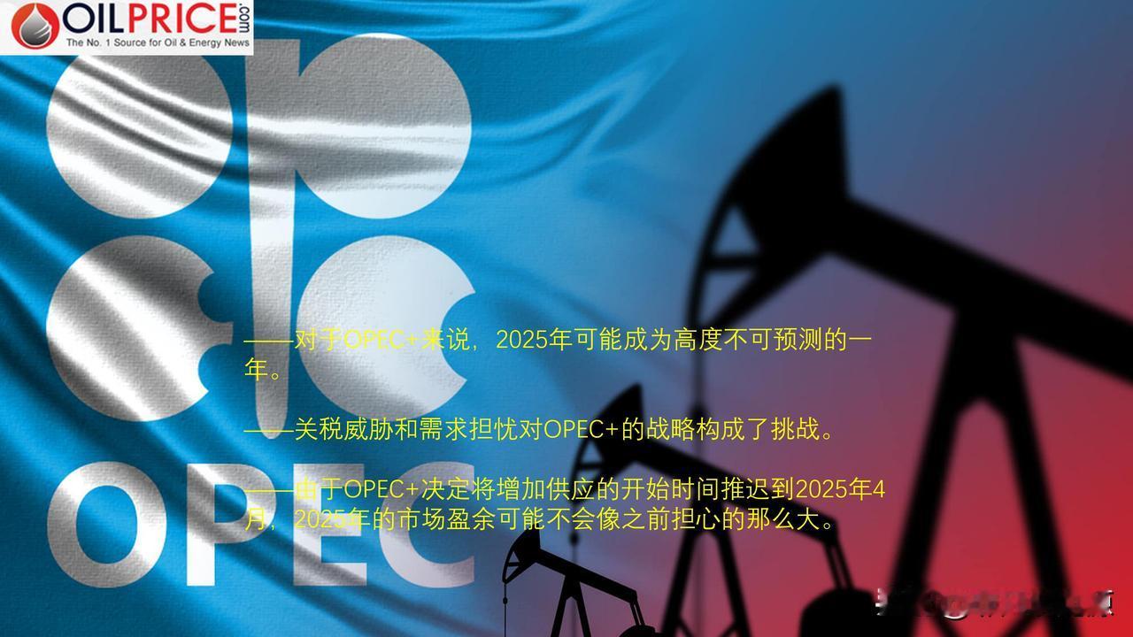 2025年对OPEC+来说是高度不可预测的一年

又是一年，OPEC+面临的又是
