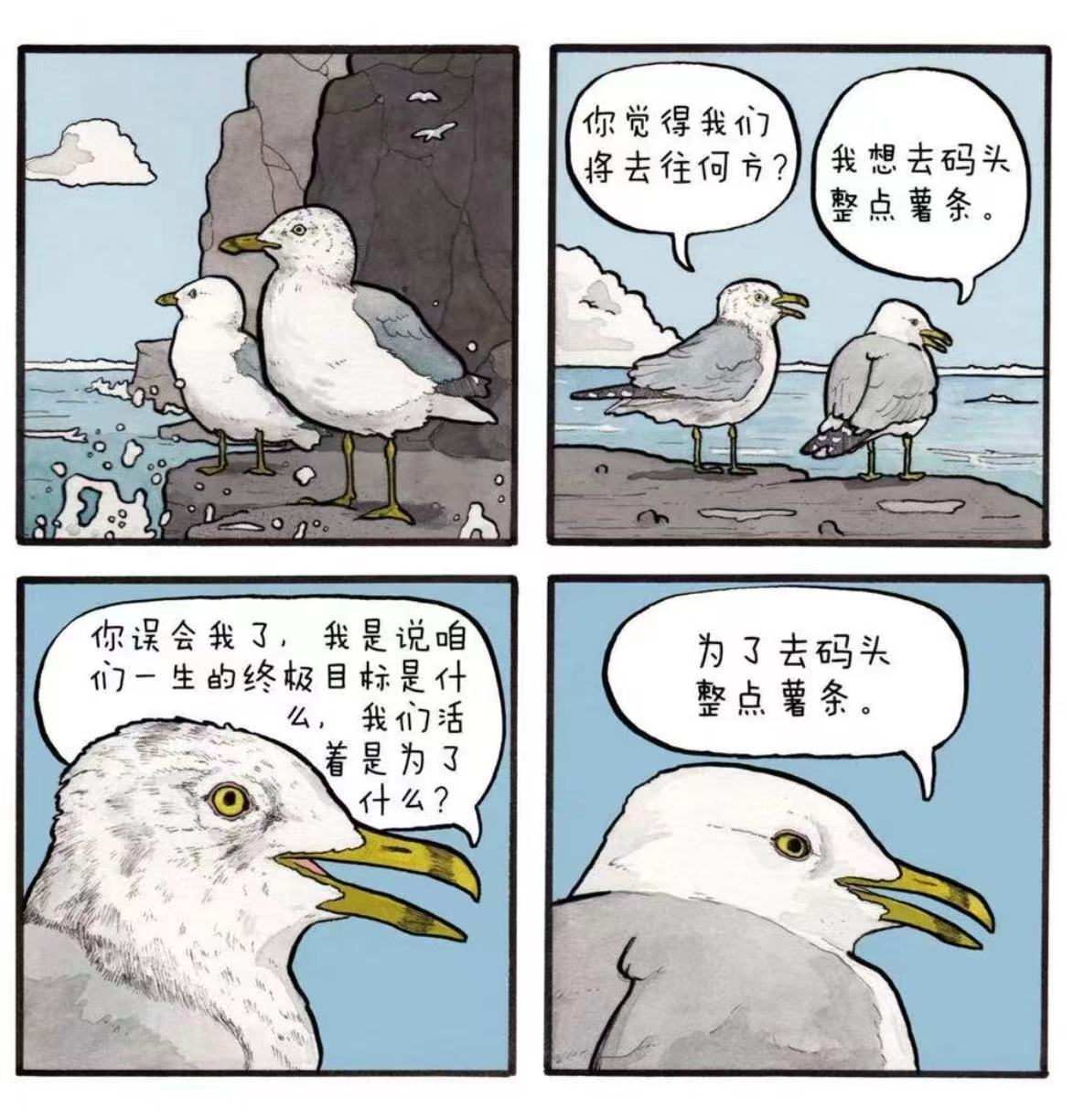 【鸥子，去码头整点面包？但最好还是别......】这个冬天，红嘴鸥活跃在各大网红