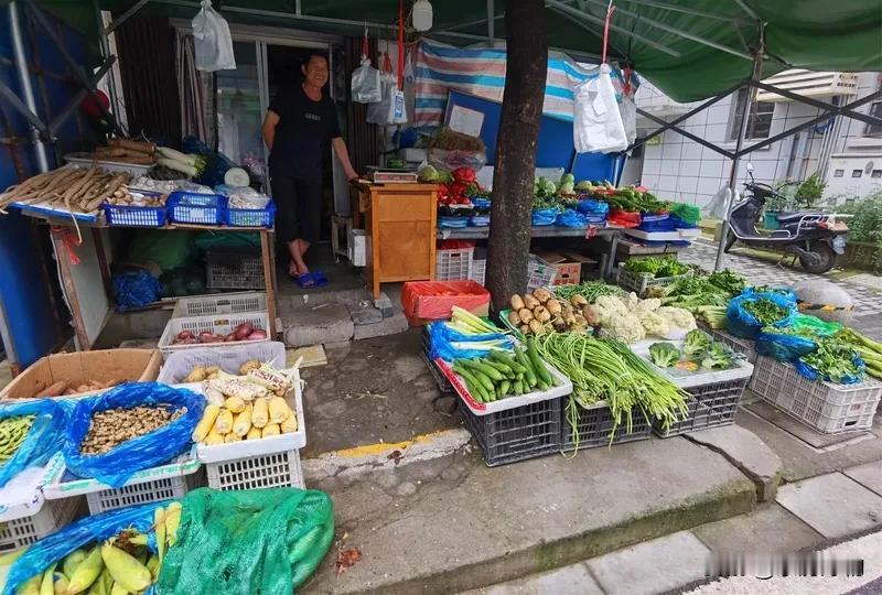 今天路过菜市场，撞见一位头发都白了的老奶奶蹲在角落里摆摊卖自家种的菜。她的菜摊不