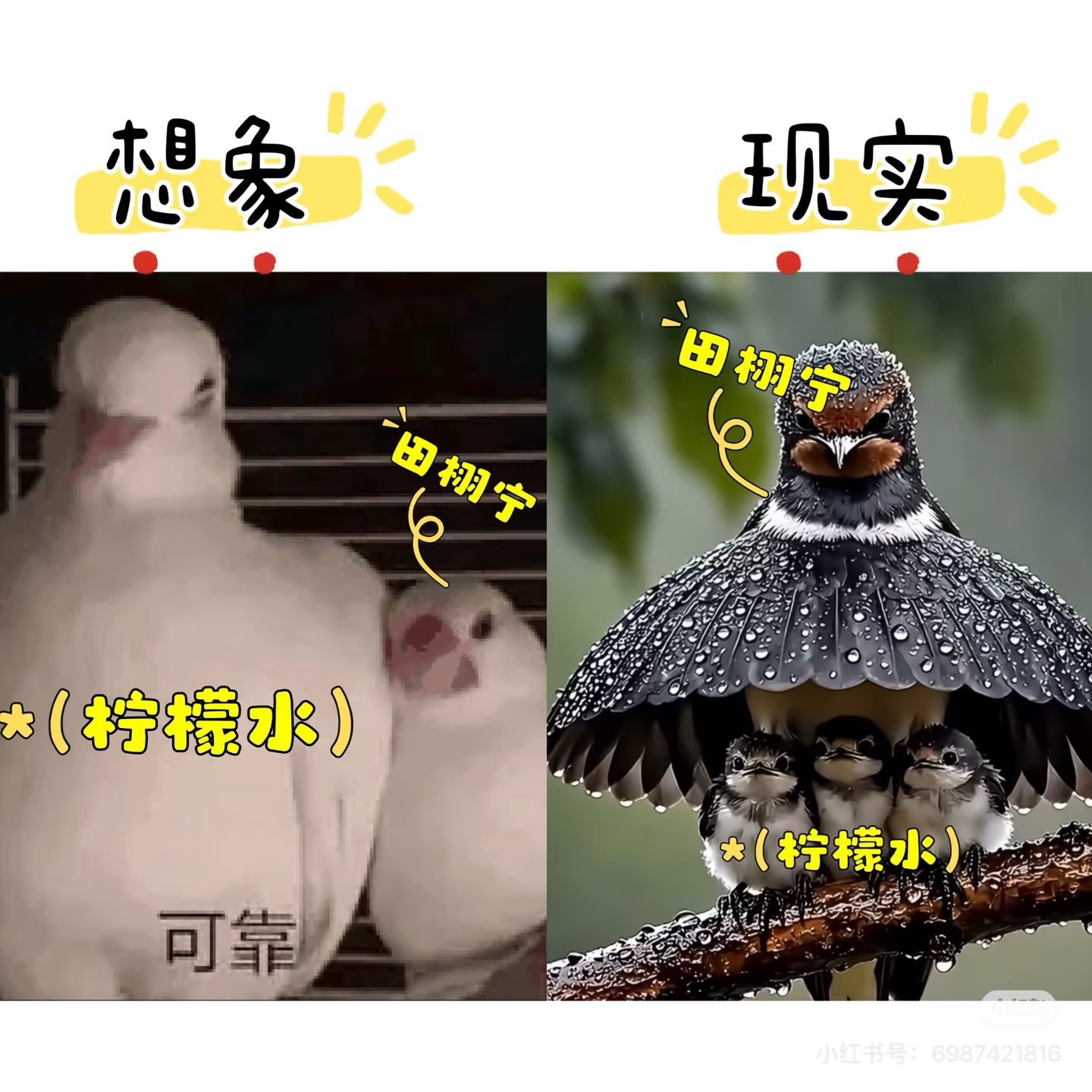 哥哥说 剩下的交给我就够了