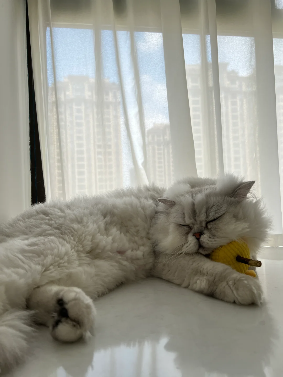 他真的很喜欢这个玉米小玩具