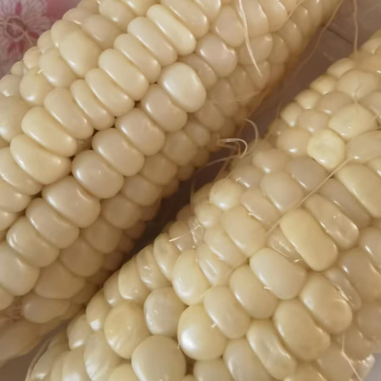 试过好几种玉米的做法，最惊艳的还是最近捣鼓出来的芝士烤甜玉米。
选带点须子的新鲜