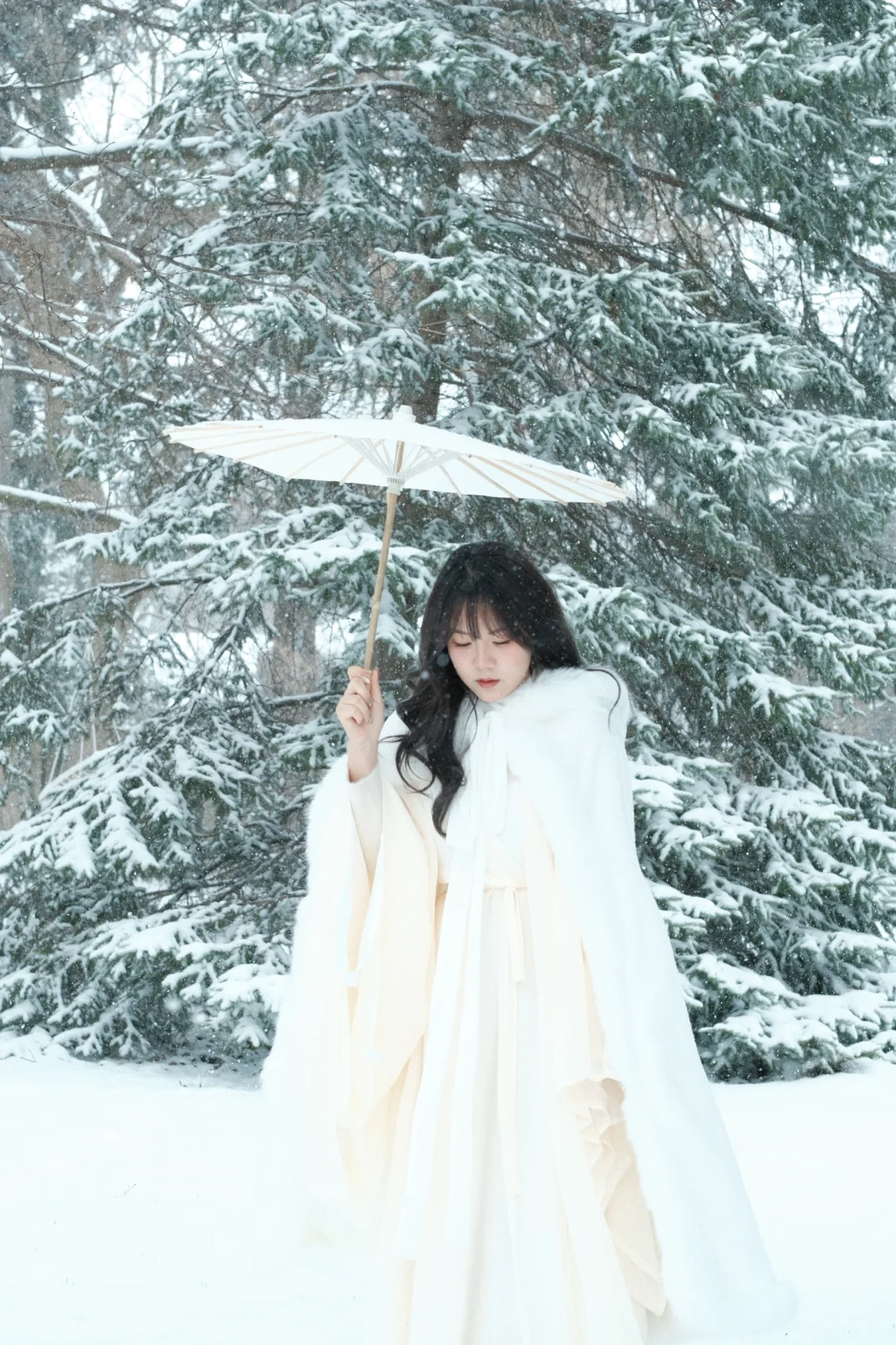 用富士拍雪景 多伦多三月的雪 超级美！