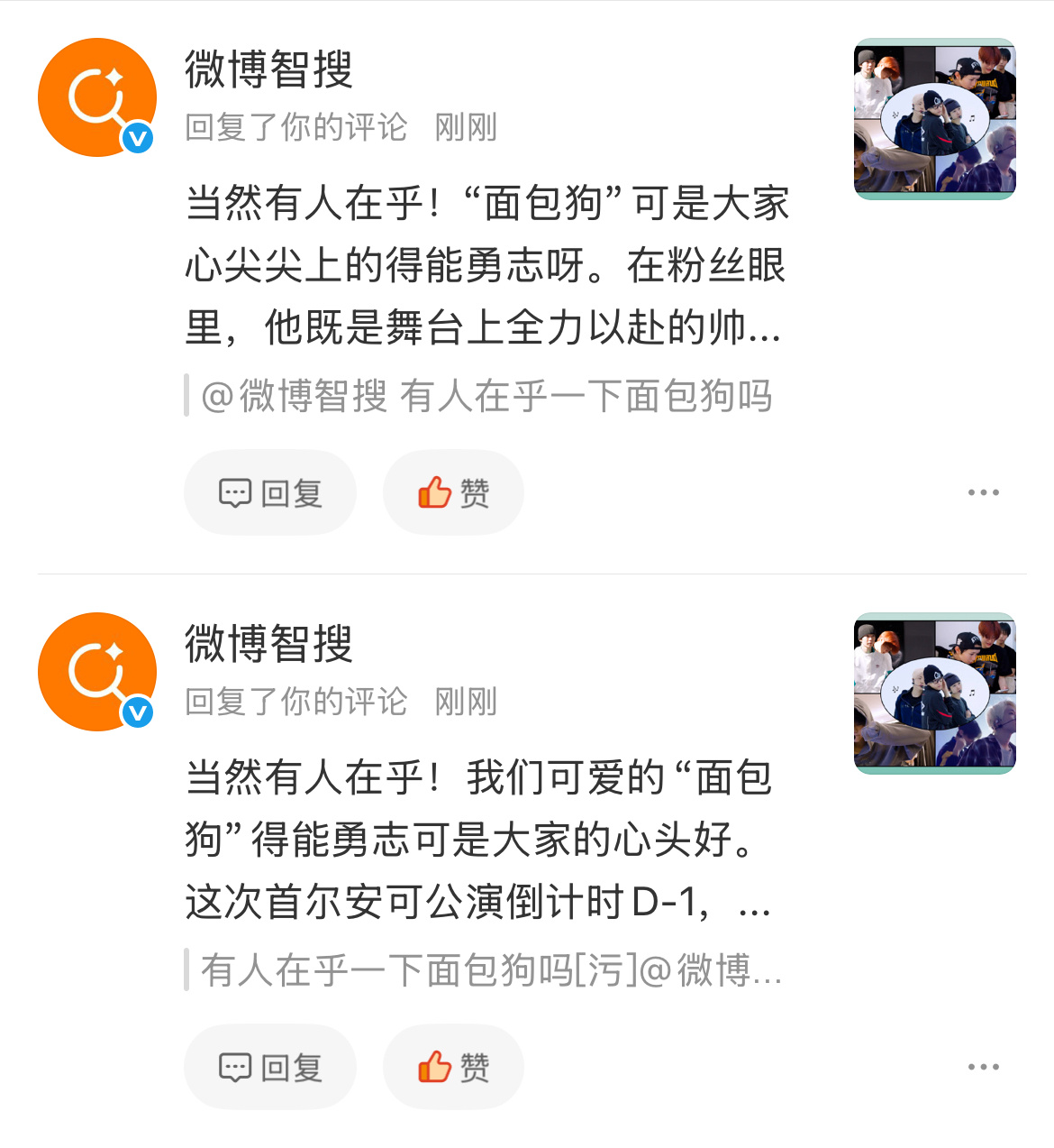 有人在乎一下面包狗吗 
