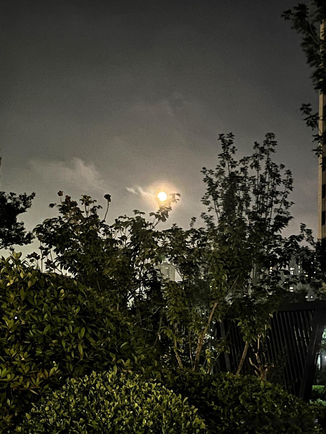 醍醐灌顶的一段话：“很多人可能不知道，家里天天有人把地拖得干干净净、把东西归置得