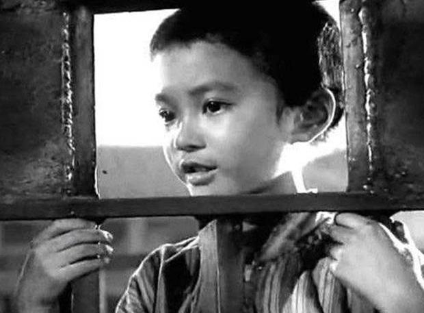 1949年毛人凤问蒋介石，白公馆关着一个八岁大的小孩子，应该如何处理，蒋介石看了