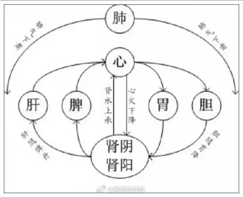 五脏方是具有260多年口碑传承的“济世七方”，并结合现代疾病实际加以改进和完善，